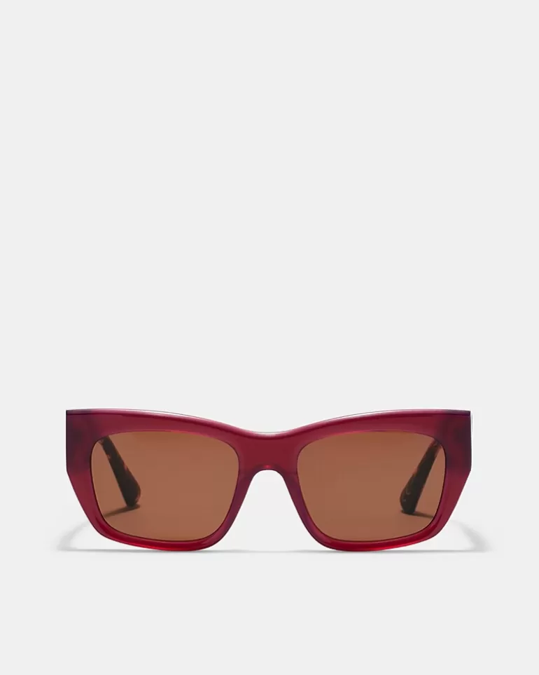 Cheap Paradise Sunglasses Sunglasses